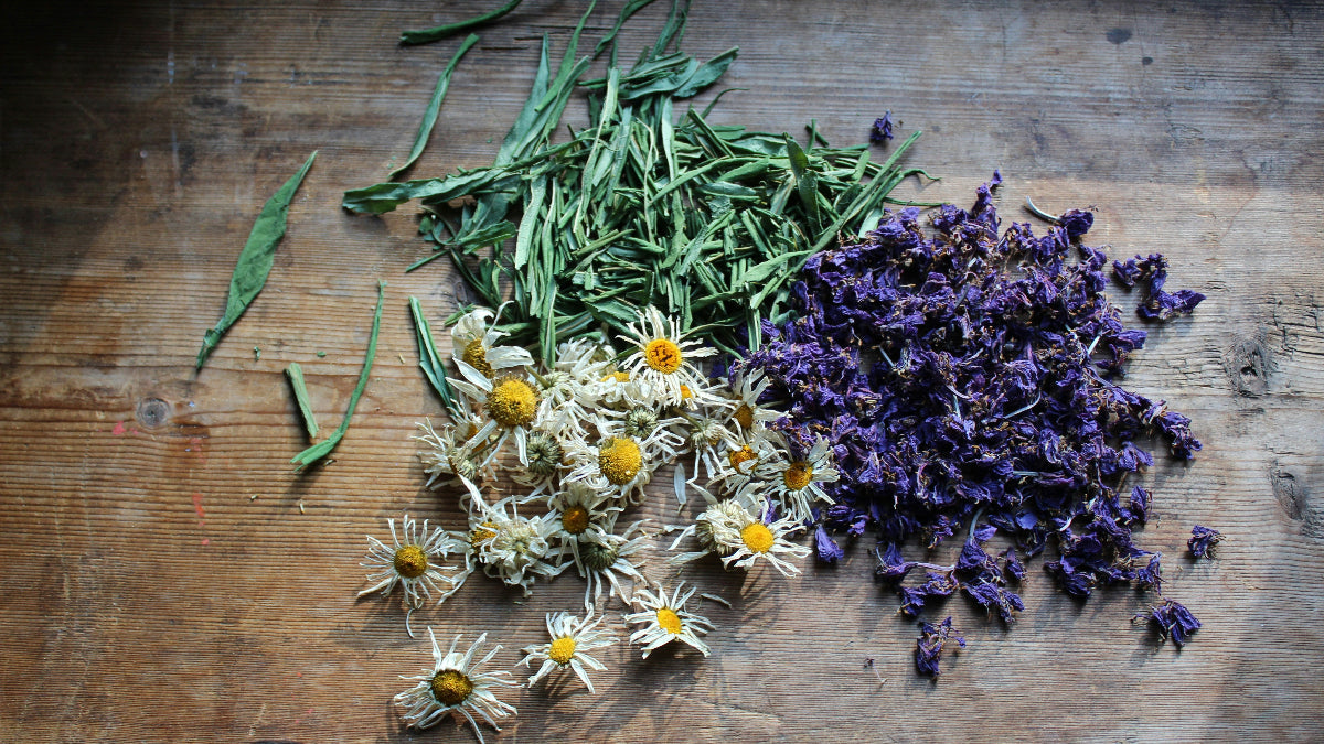 Flower Petals in Our Tea Blends: Beauty, Flavor & Botanical Benefits