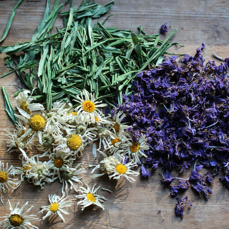 Herbs including lavender and chamomile on a wooden surface