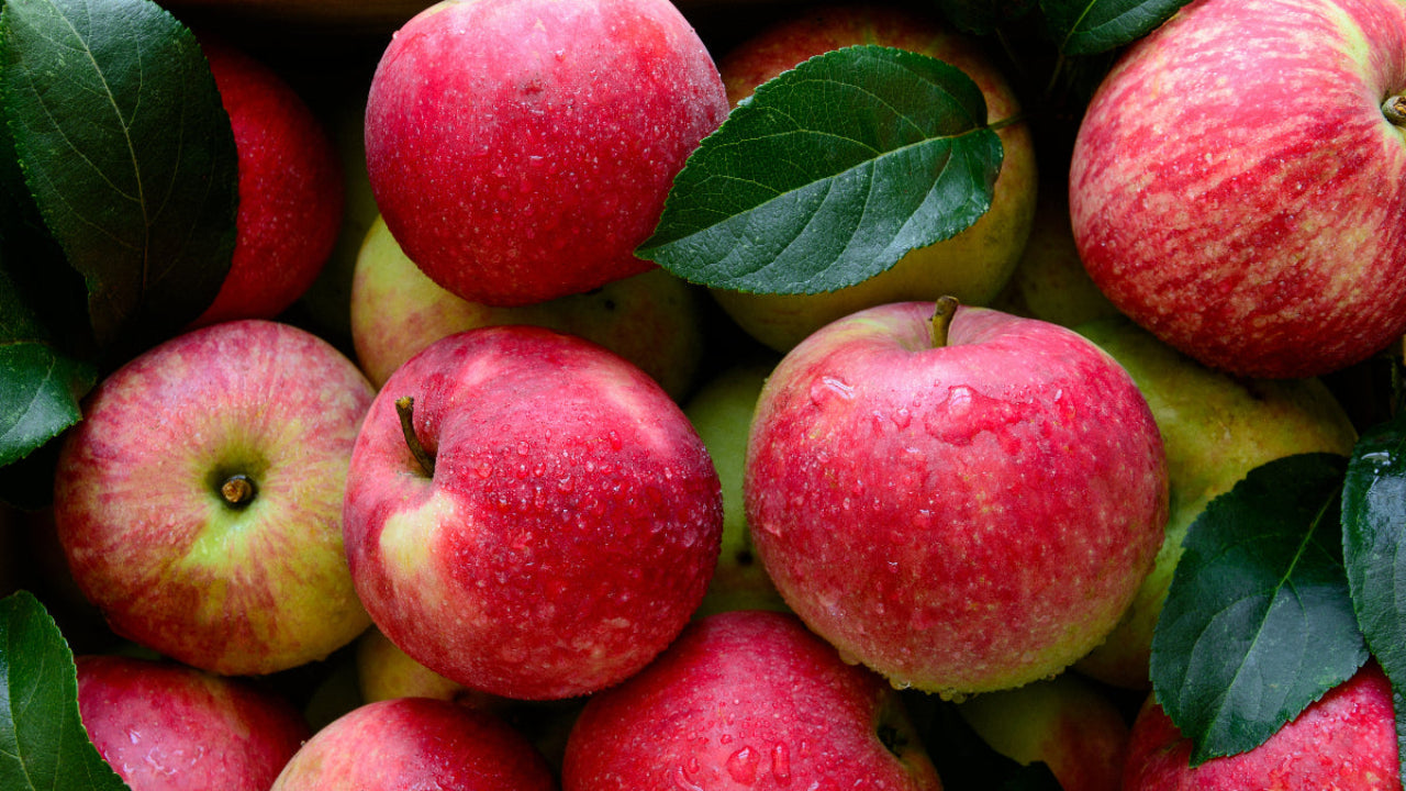 Close-up of red apples with green leaves on a bed of other fruits.