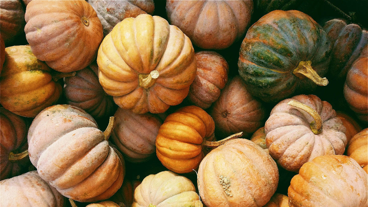 Assorted pumpkins in various colors including orange, green, and brown.