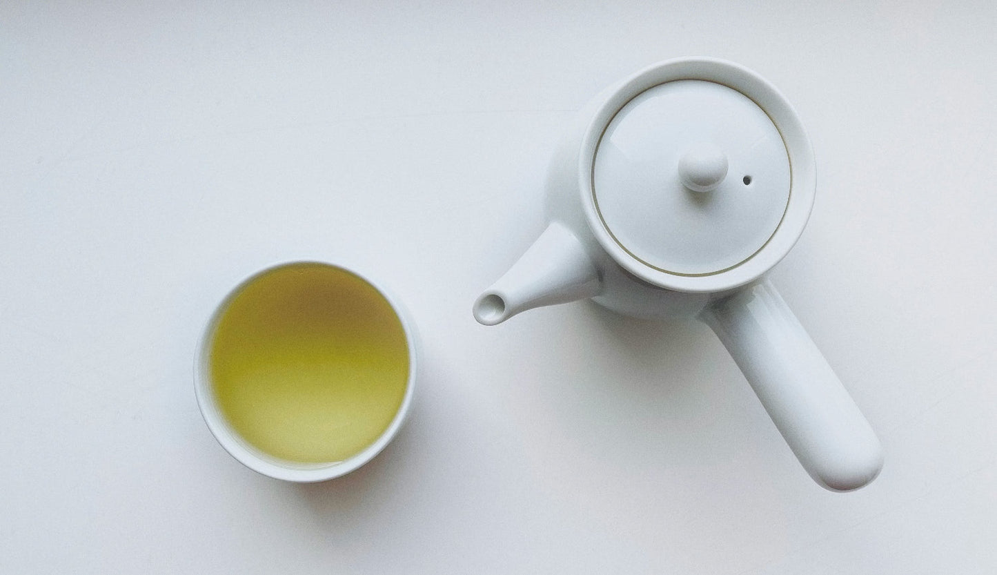 White Tea: Delicate, Ancient, and Packed with Benefits