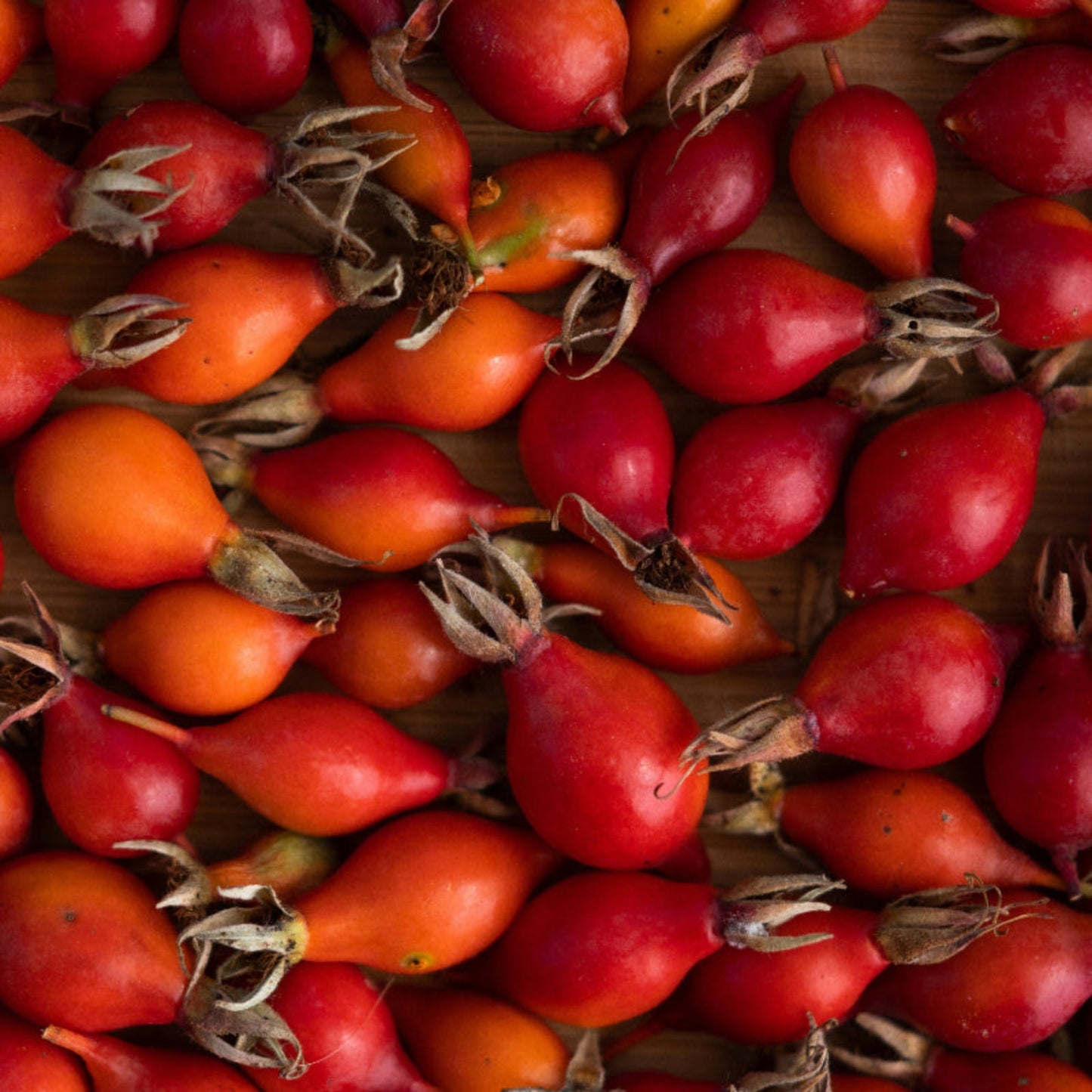 Rosehips