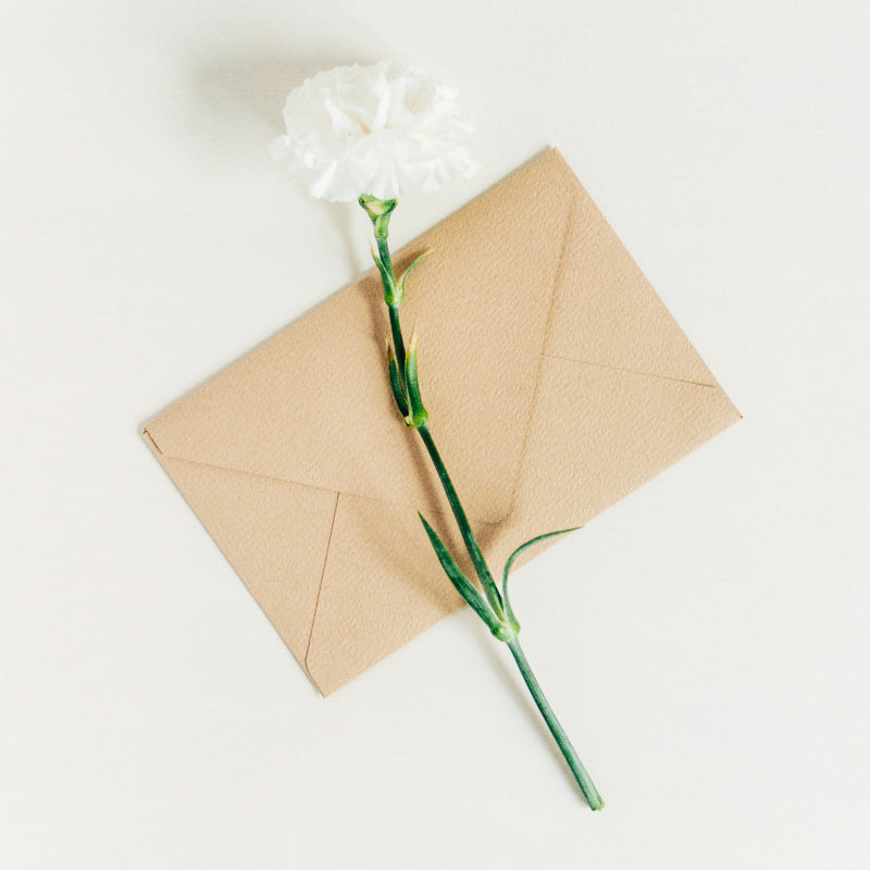 White flower with a brown envelope on a light gray background
